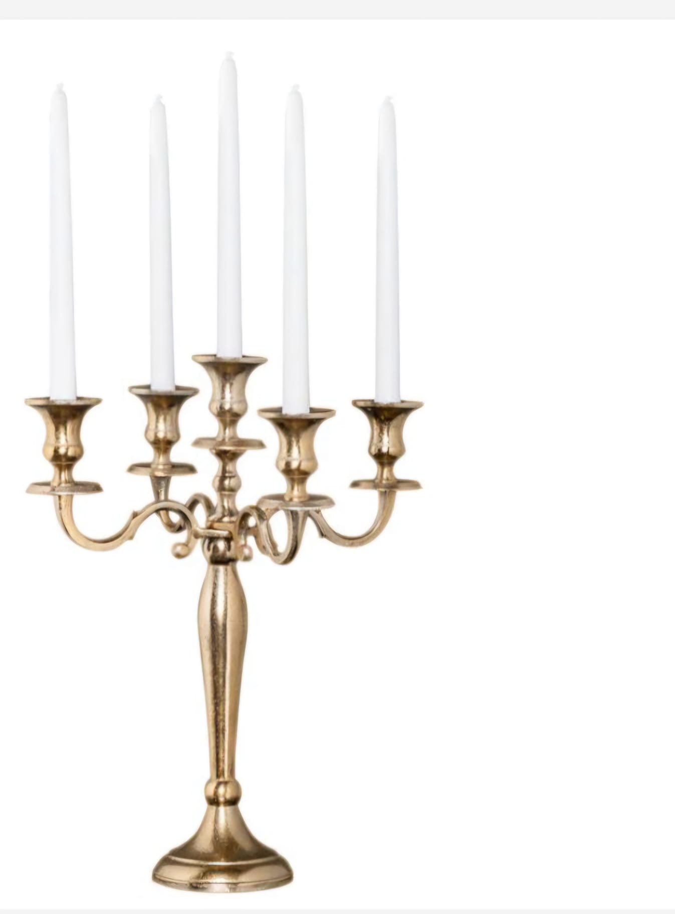 WhatsApp Image 2025-09-24 at 13.44.41